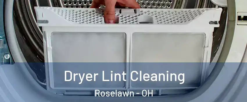 Dryer Lint Cleaning Roselawn - OH