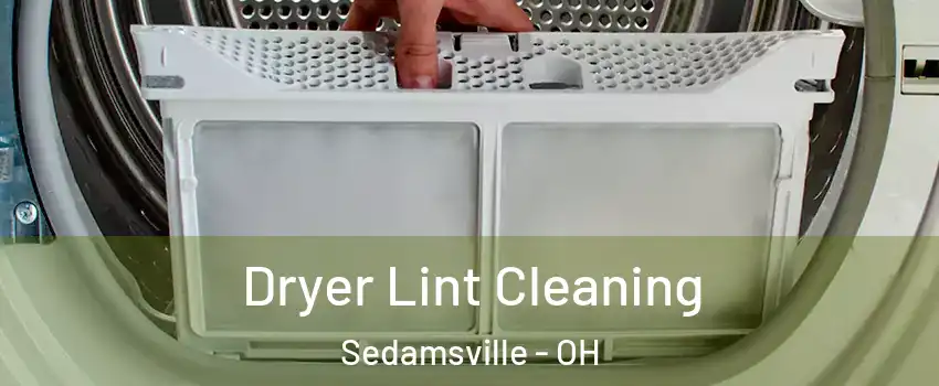 Dryer Lint Cleaning Sedamsville - OH