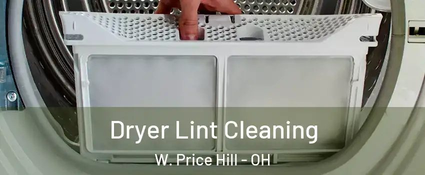 Dryer Lint Cleaning W. Price Hill - OH