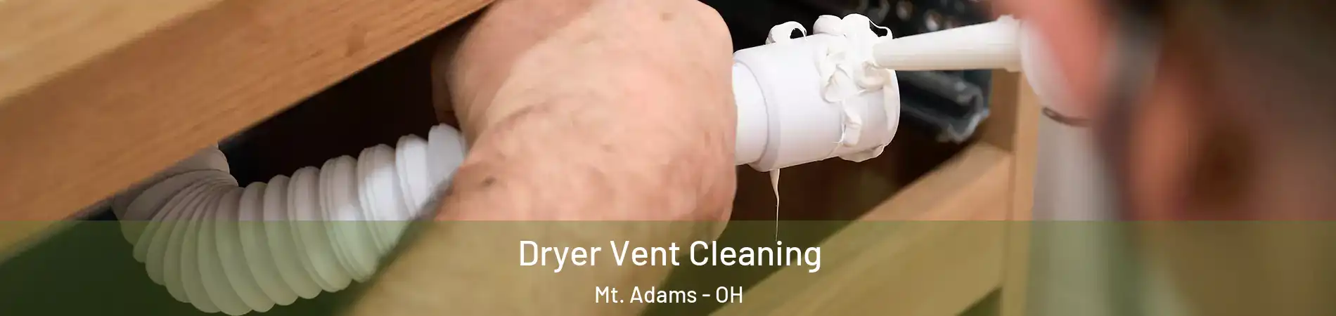 Dryer Vent Cleaning Mt. Adams - OH