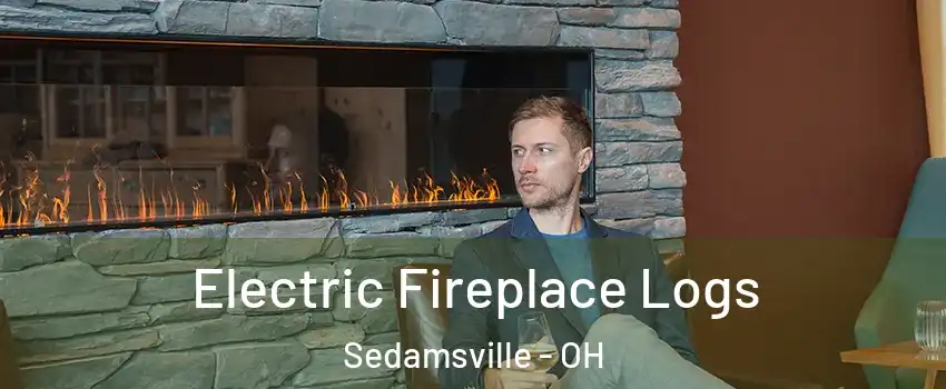 Electric Fireplace Logs Sedamsville - OH