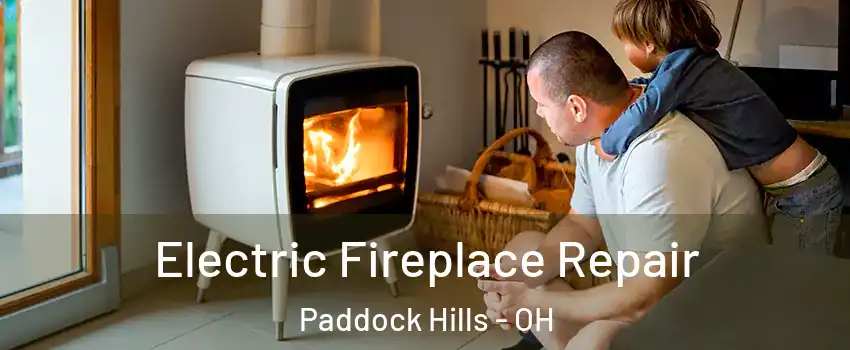 Electric Fireplace Repair Paddock Hills - OH