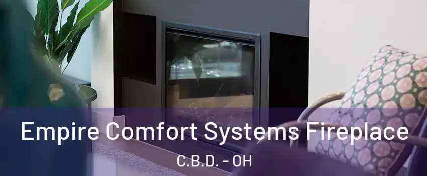 Empire Comfort Systems Fireplace C.B.D. - OH