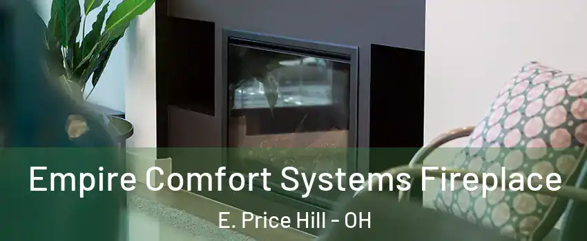 Empire Comfort Systems Fireplace E. Price Hill - OH