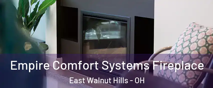 Empire Comfort Systems Fireplace East Walnut Hills - OH