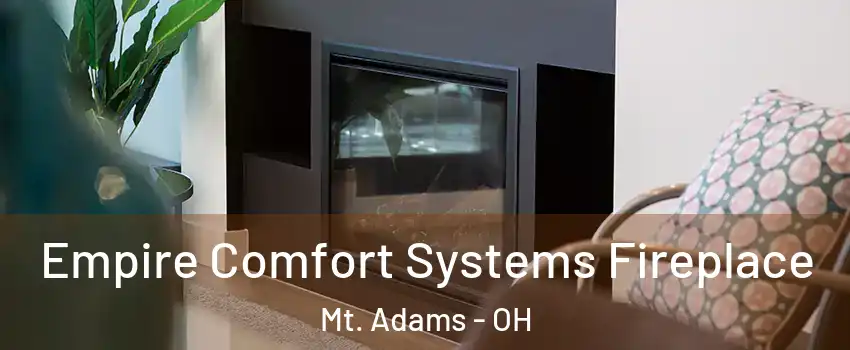 Empire Comfort Systems Fireplace Mt. Adams - OH