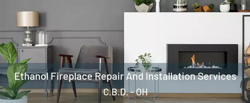 Ethanol Fireplace Repair And Installation Services C.B.D. - OH