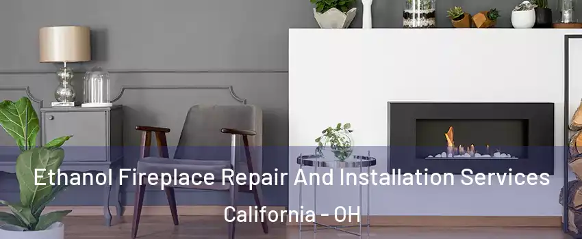 Ethanol Fireplace Repair And Installation Services California - OH