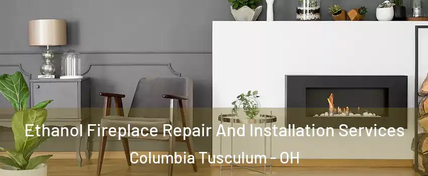 Ethanol Fireplace Repair And Installation Services Columbia Tusculum - OH