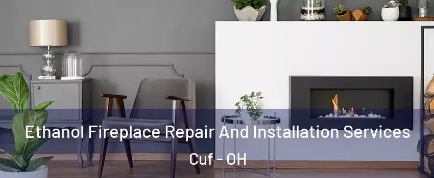 Ethanol Fireplace Repair And Installation Services Cuf - OH