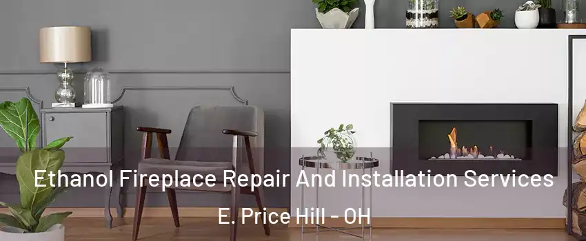 Ethanol Fireplace Repair And Installation Services E. Price Hill - OH