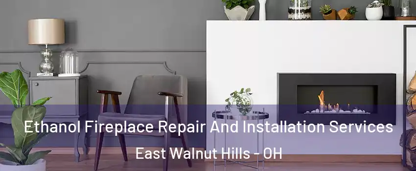 Ethanol Fireplace Repair And Installation Services East Walnut Hills - OH