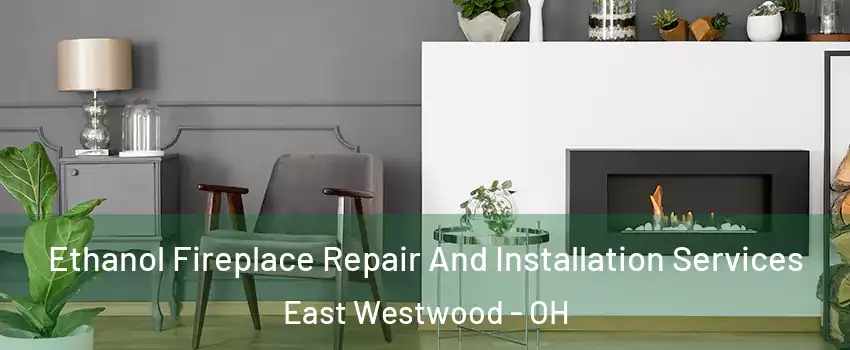 Ethanol Fireplace Repair And Installation Services East Westwood - OH