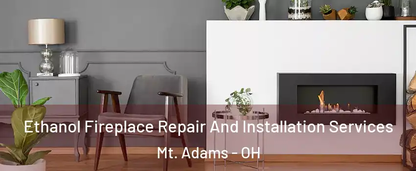 Ethanol Fireplace Repair And Installation Services Mt. Adams - OH