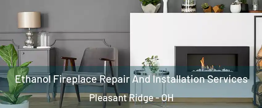 Ethanol Fireplace Repair And Installation Services Pleasant Ridge - OH