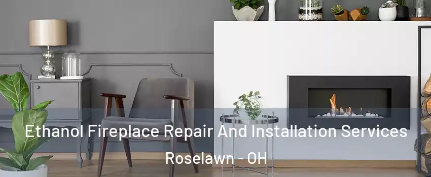 Ethanol Fireplace Repair And Installation Services Roselawn - OH