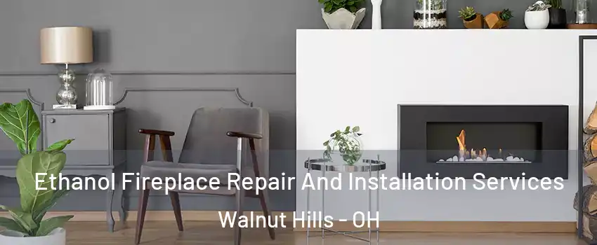 Ethanol Fireplace Repair And Installation Services Walnut Hills - OH