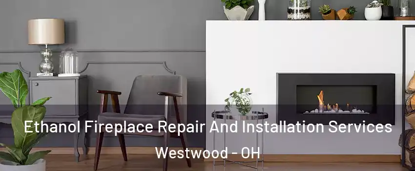 Ethanol Fireplace Repair And Installation Services Westwood - OH