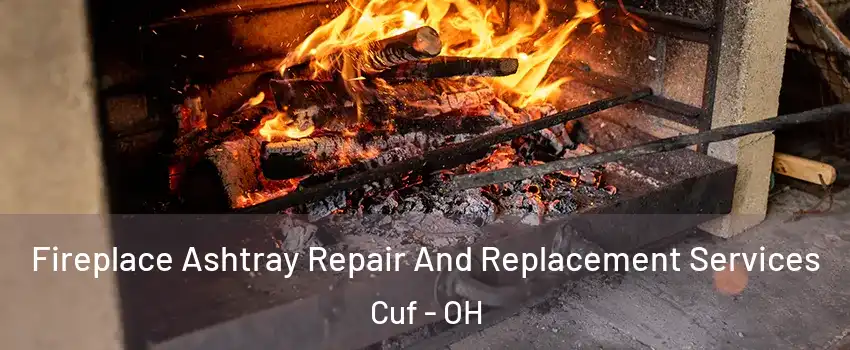 Fireplace Ashtray Repair And Replacement Services Cuf - OH