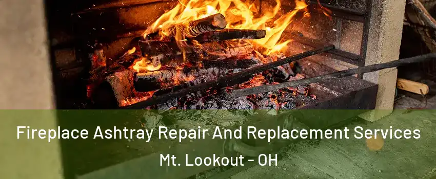 Fireplace Ashtray Repair And Replacement Services Mt. Lookout - OH