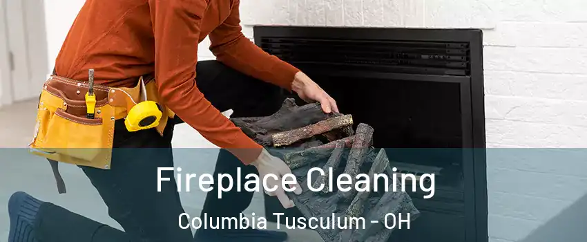 Fireplace Cleaning Columbia Tusculum - OH