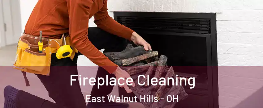 Fireplace Cleaning East Walnut Hills - OH