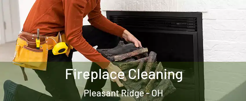 Fireplace Cleaning Pleasant Ridge - OH