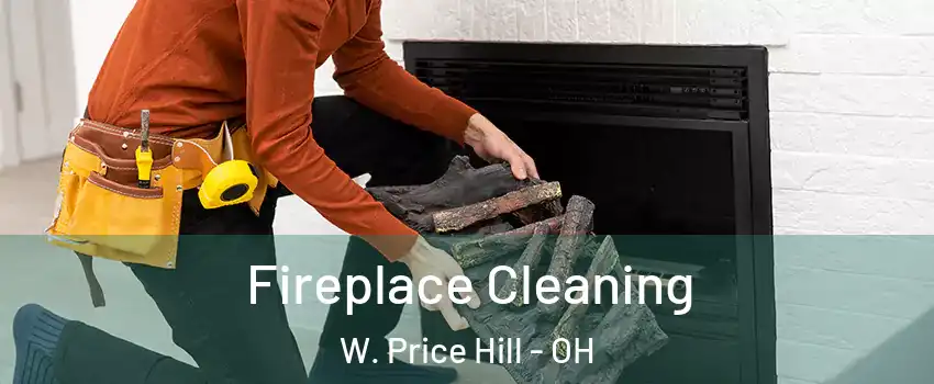 Fireplace Cleaning W. Price Hill - OH