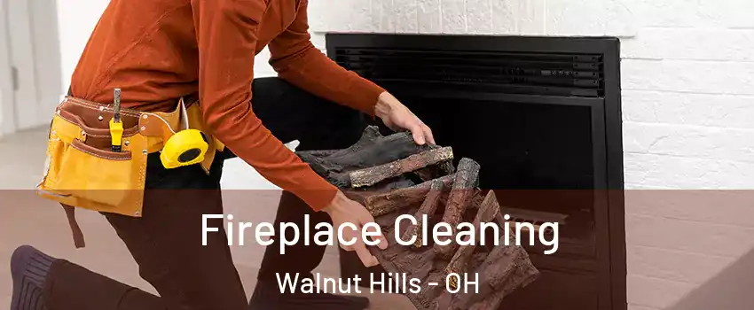 Fireplace Cleaning Walnut Hills - OH