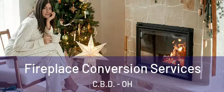 Fireplace Conversion Services C.B.D. - OH