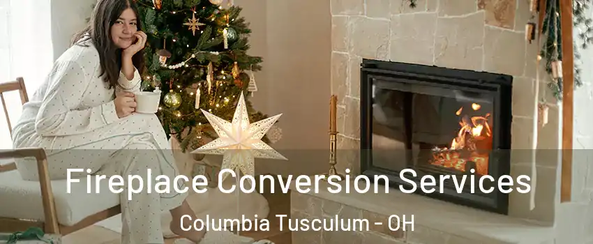 Fireplace Conversion Services Columbia Tusculum - OH