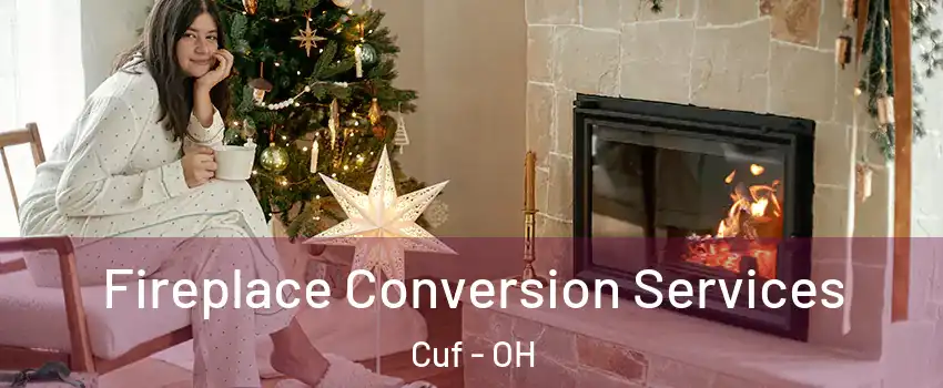 Fireplace Conversion Services Cuf - OH