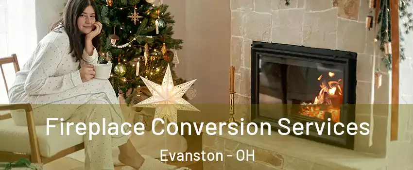 Fireplace Conversion Services Evanston - OH