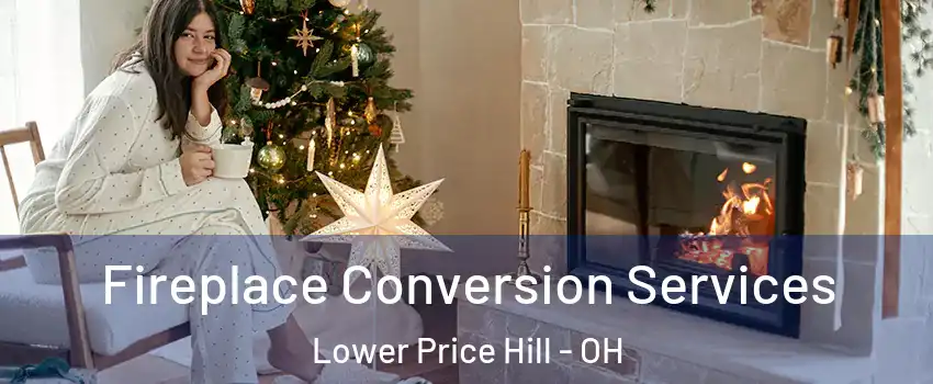 Fireplace Conversion Services Lower Price Hill - OH