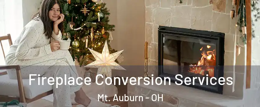 Fireplace Conversion Services Mt. Auburn - OH