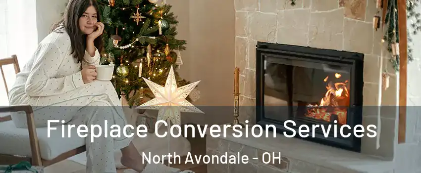 Fireplace Conversion Services North Avondale - OH