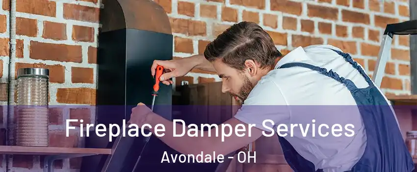 Fireplace Damper Services Avondale - OH