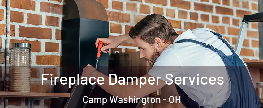 Fireplace Damper Services Camp Washington - OH