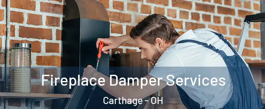 Fireplace Damper Services Carthage - OH