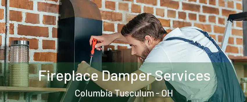 Fireplace Damper Services Columbia Tusculum - OH