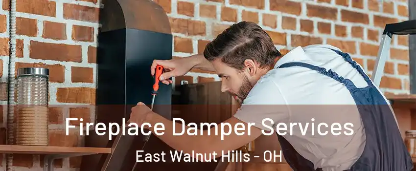 Fireplace Damper Services East Walnut Hills - OH