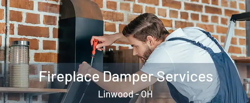 Fireplace Damper Services Linwood - OH