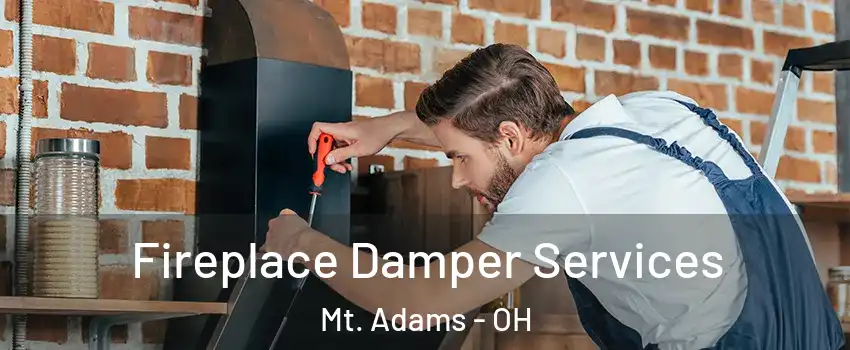 Fireplace Damper Services Mt. Adams - OH