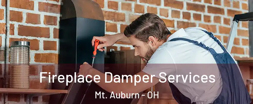 Fireplace Damper Services Mt. Auburn - OH