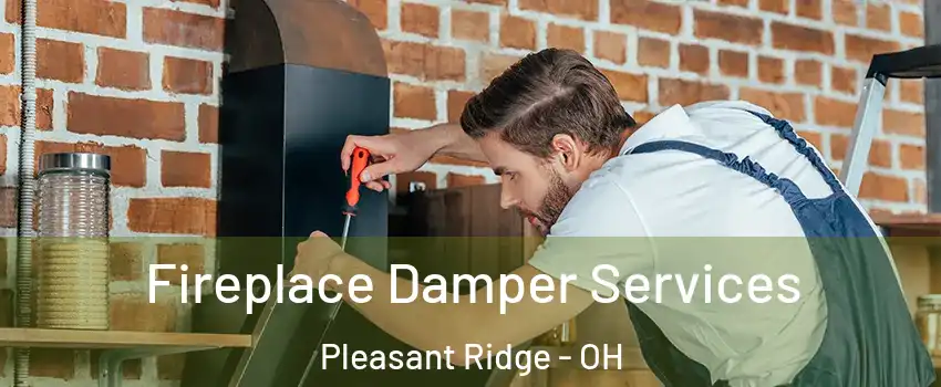 Fireplace Damper Services Pleasant Ridge - OH