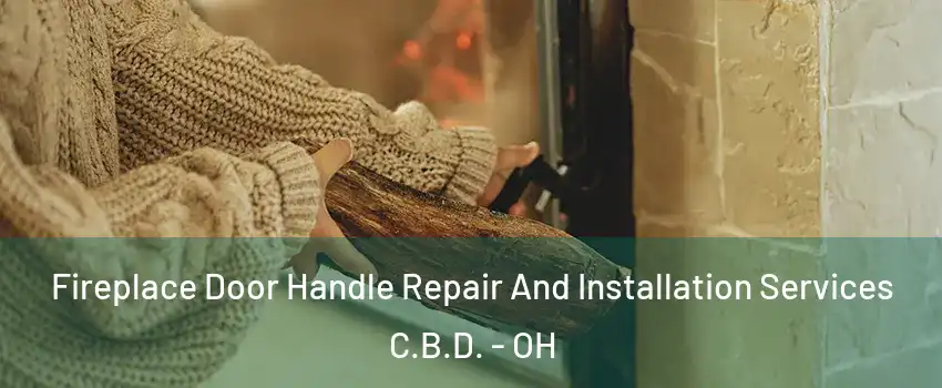 Fireplace Door Handle Repair And Installation Services C.B.D. - OH