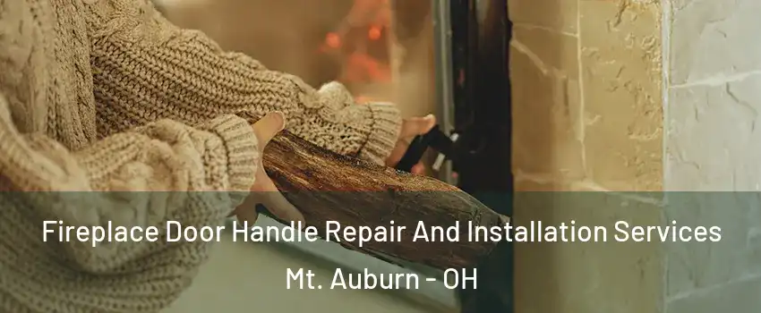 Fireplace Door Handle Repair And Installation Services Mt. Auburn - OH