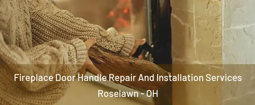 Fireplace Door Handle Repair And Installation Services Roselawn - OH