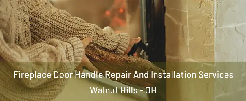 Fireplace Door Handle Repair And Installation Services Walnut Hills - OH