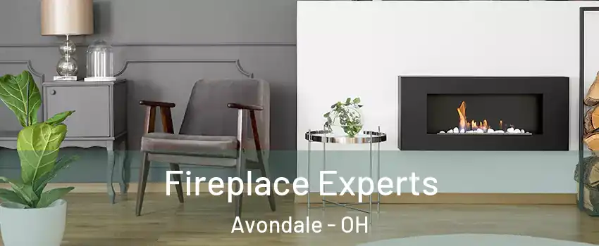 Fireplace Experts Avondale - OH